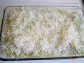 Queso parmesano rallado