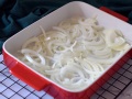 Cama de cebolla